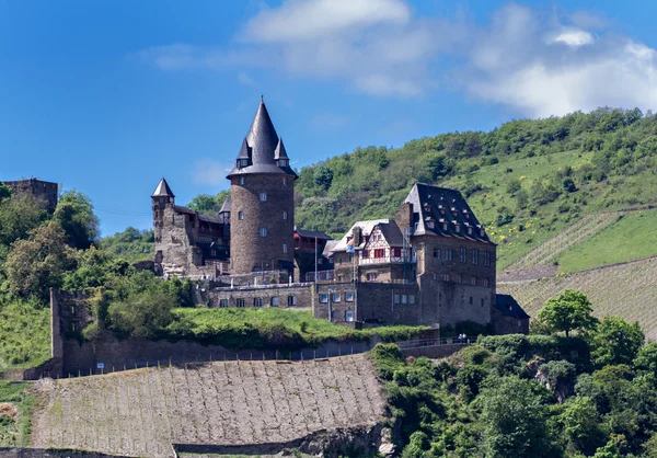 Ruines du château Stahleck — Photo