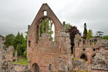 dryburgh abbey kalıntıları