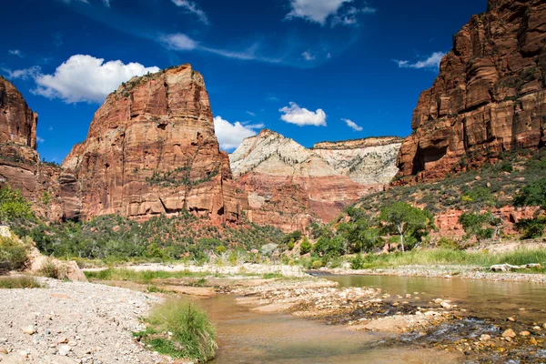Zion River Bank — Stock Photo, Image