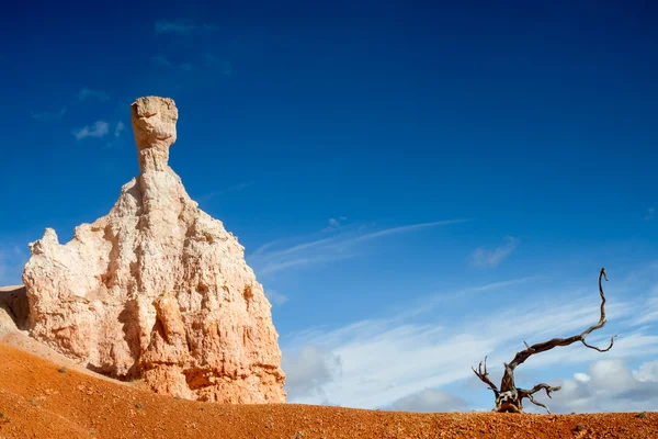 Gnome de pedra e uma árvore morta — Fotografia de Stock