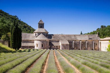 senanque Manastırı