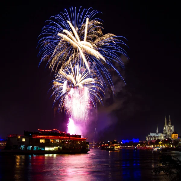 Firework over the Rhine River - Stok İmaj