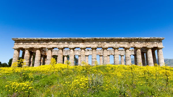 Ókori görög templom Segesta — Stock Fotó