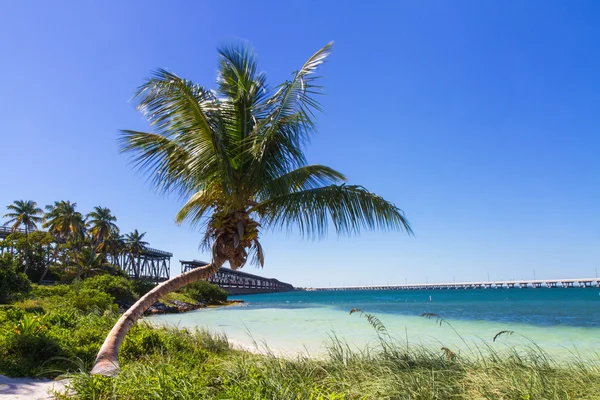 Krajina v bahia honda beach — Stock fotografie