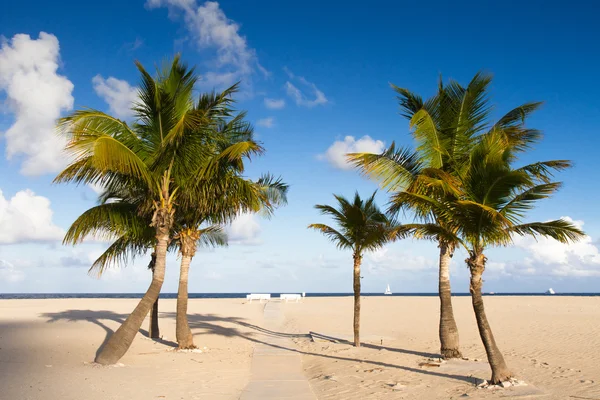 Secluded beach at Fort Lauderdale — Stock Photo, Image