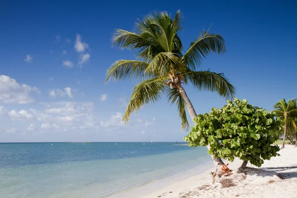 在佛罗里达群岛上的草帽海滩 — 图库照片