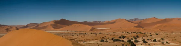 Panorama des dunes de Sossusvlei — Photo