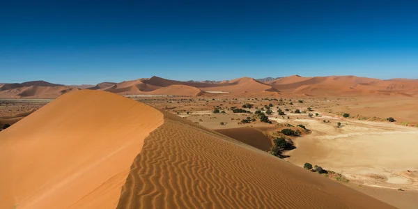 Panorama del desierto de Namib —  Fotos de Stock