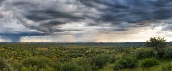 Thunderstorm over the namibian plains