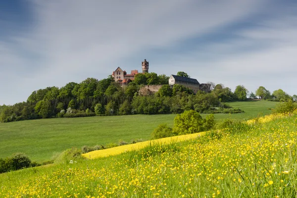 Łąki na wiosnę przed ronneburg zamek — Zdjęcie stockowe