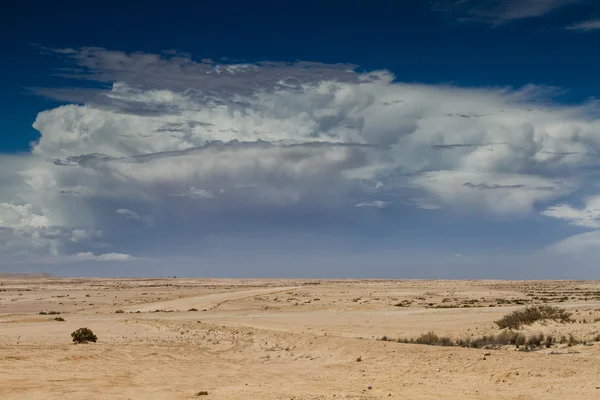 Trovoada se aproximando sobre o deserto — Fotografia de Stock