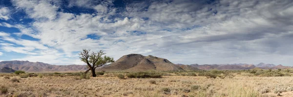 Panorama do deserto da Namíbia — Fotografia de Stock