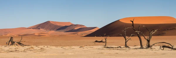 Panorama del Sossusvlei —  Fotos de Stock