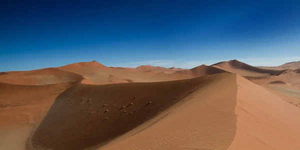 En la cima de la duna de arena —  Fotos de Stock