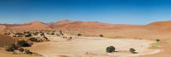 Panorama de la poêle du désert de Sossusvlei — Photo