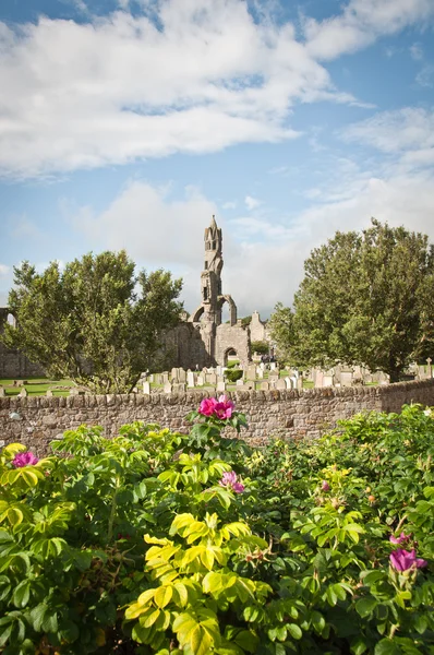 Katedra w St andrews — Zdjęcie stockowe