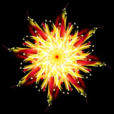 soyut çiçek grafik