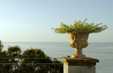 gün batımında saksı