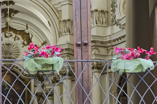 Çiçek Düzenlemeleri