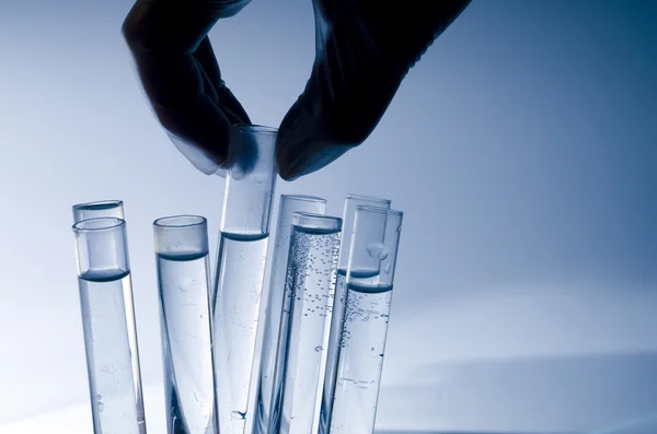 analiz örnekleri. mavi