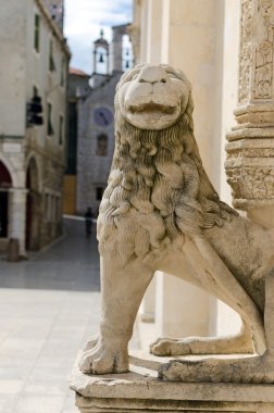 Sibenik. taş aslan