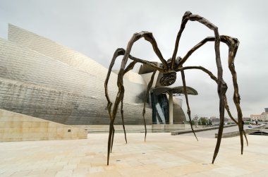 örümcek. Bilbao