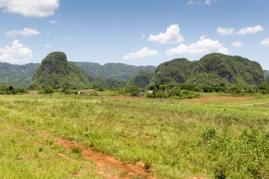 vinales Vadisi