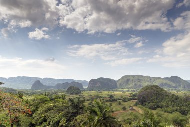 vinales Vadisi