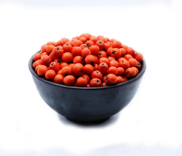Rowan berries in a bowl on the isolated background — Stock Photo, Image