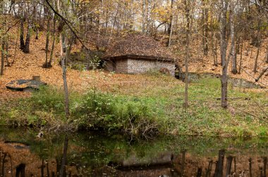 Ukraynalı Mimarlık Müzesi