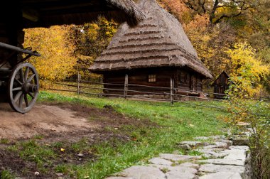 Ukraynalı Mimarlık Müzesi