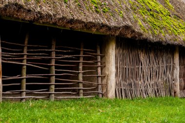 Ukraynalı Mimarlık Müzesi