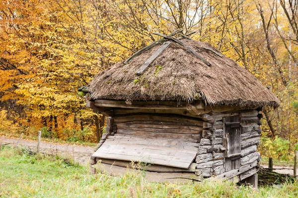 Ukrainska museum av arkitektur — Stockfoto