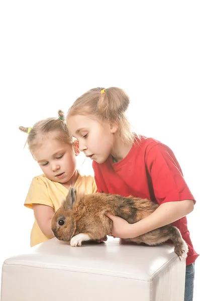 Дві маленькі дівчата грають з пасхальним кроликом на білому тлі — стокове фото