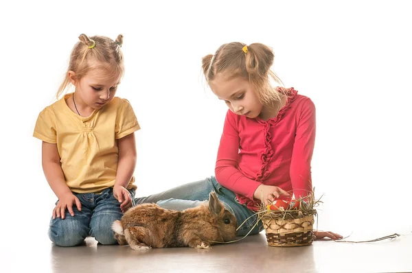 Dos niñas jugando con conejito de Pascua sobre un fondo blanco — Foto de Stock