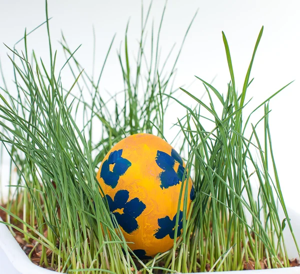 Påskfärgade ägg på en vit bakgrund — Stockfoto