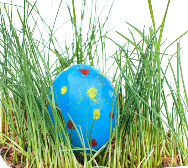 Uova di Pasqua colorate su sfondo bianco — Foto Stock