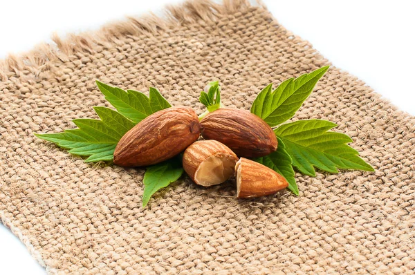 Almonds on a white background — Stock Photo, Image