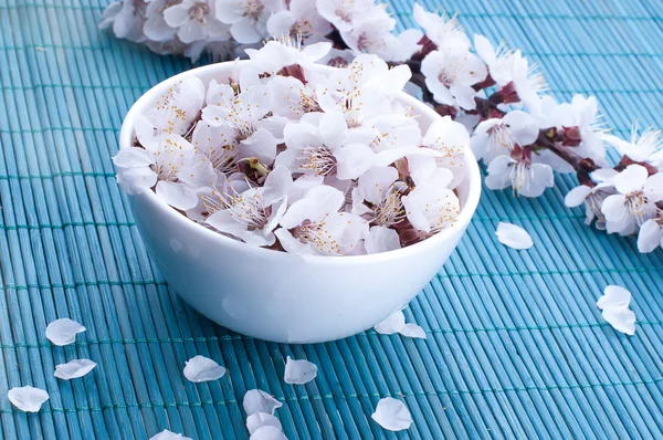 Viele kleine und schöne Farben — Stockfoto