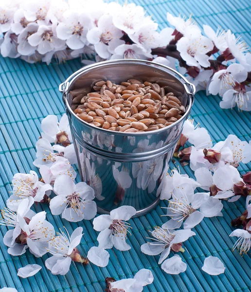 Veel kleine en mooie kleuren — Stockfoto