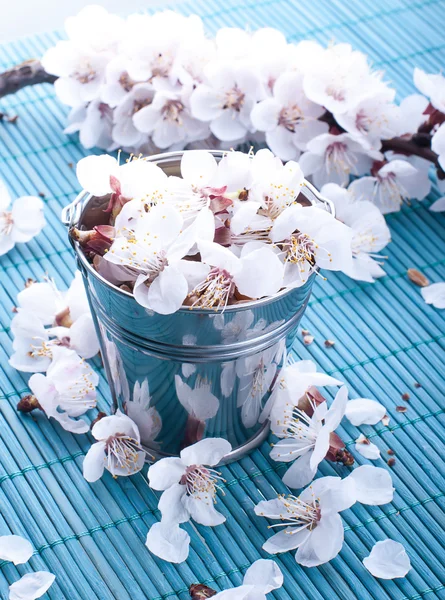 Viele kleine und schöne Farben — Stockfoto