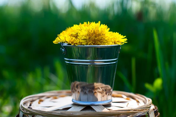 A small bucket with dandelions on a grass background — Stock Photo, Image