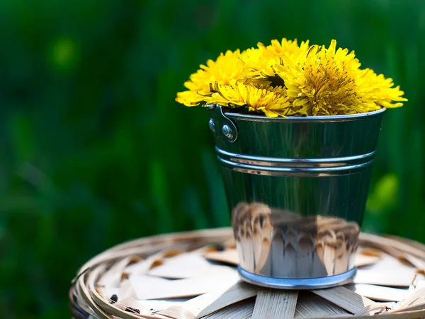 Ein kleiner Eimer mit Löwenzahn auf einem Grashintergrund — Stockfoto