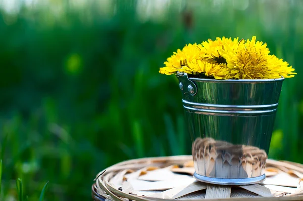 A small bucket with dandelions on a grass background — Stock Photo, Image