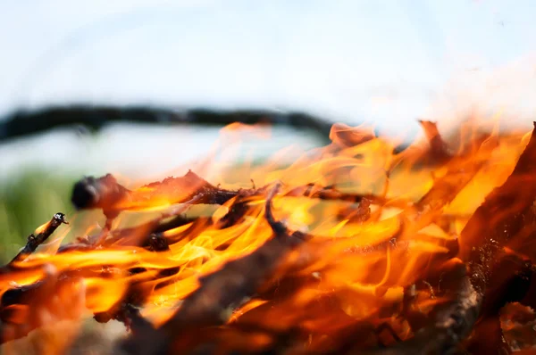 A log in the fire — Stock Photo, Image