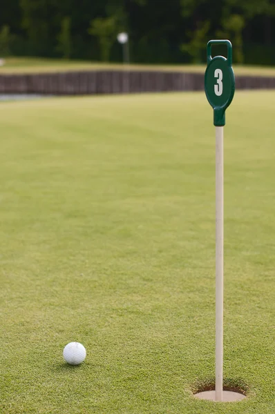 Bola de golfe na grama verde, foco seletivo — Fotografia de Stock