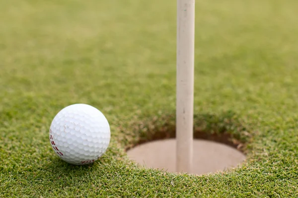 Мяч для гольфа на зеленой траве, избирательный фокус — стоковое фото