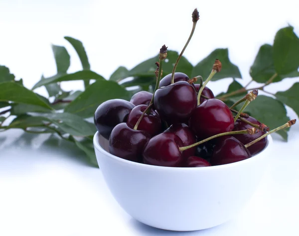 Cerezas — Foto de Stock