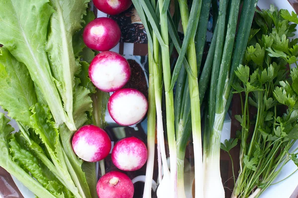 Plate with different food. Green onion close-up — Stock Photo, Image