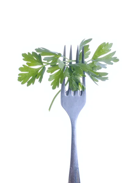 Feuilles de coriandre isolées sur fond blanc, en gros plan, avec des chemins de coupe — Photo